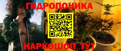 MESCALINE Гай
