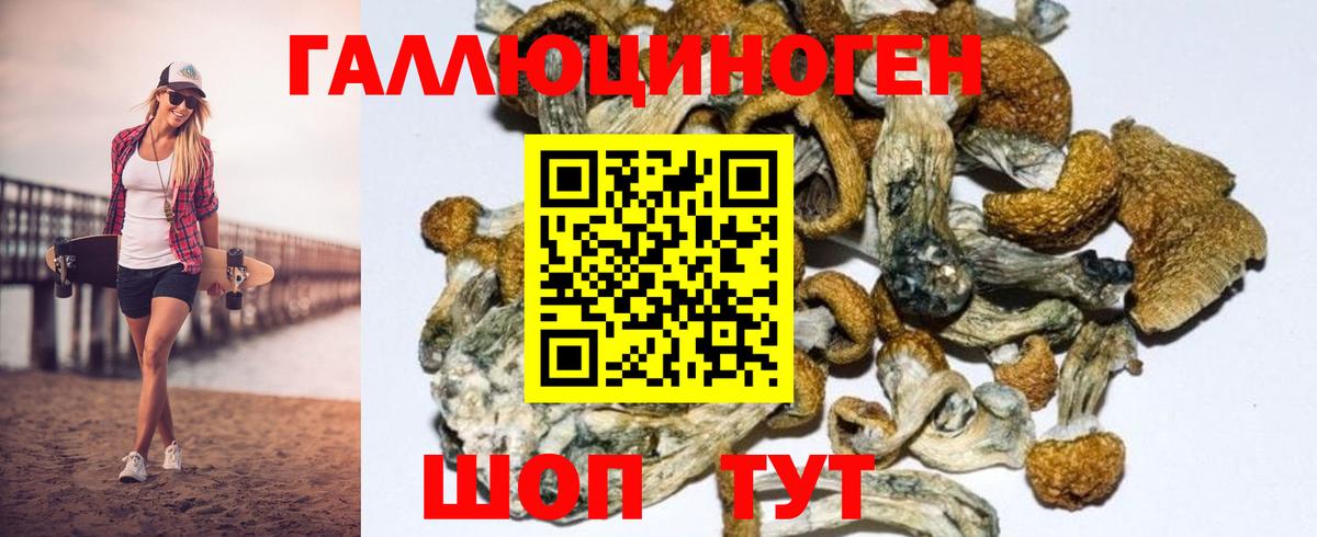 Псилоцибиновые грибы мухоморы Мичуринск