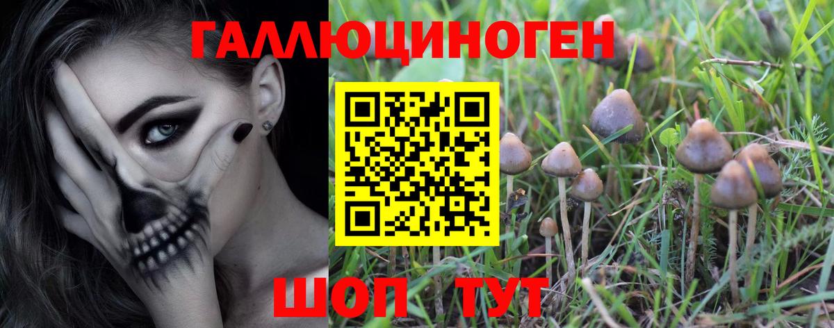 Мичуринск  Галлюциногенные грибы GOLDEN TEACHER  купить наркотик  Вход с VPN 